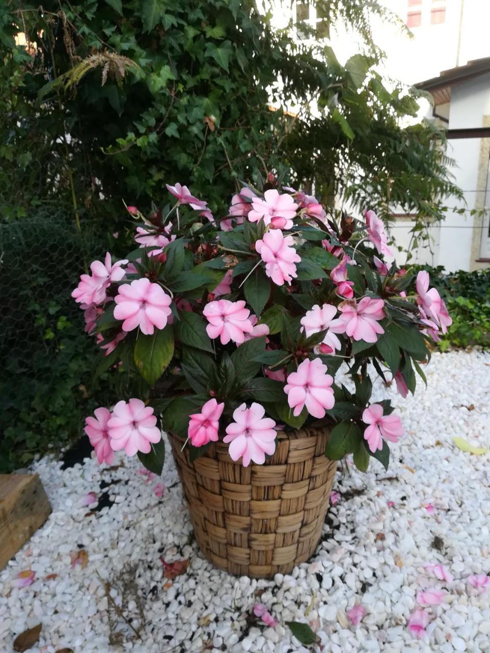 بيت شباب Pb4 House براغا المظهر الخارجي الصورة