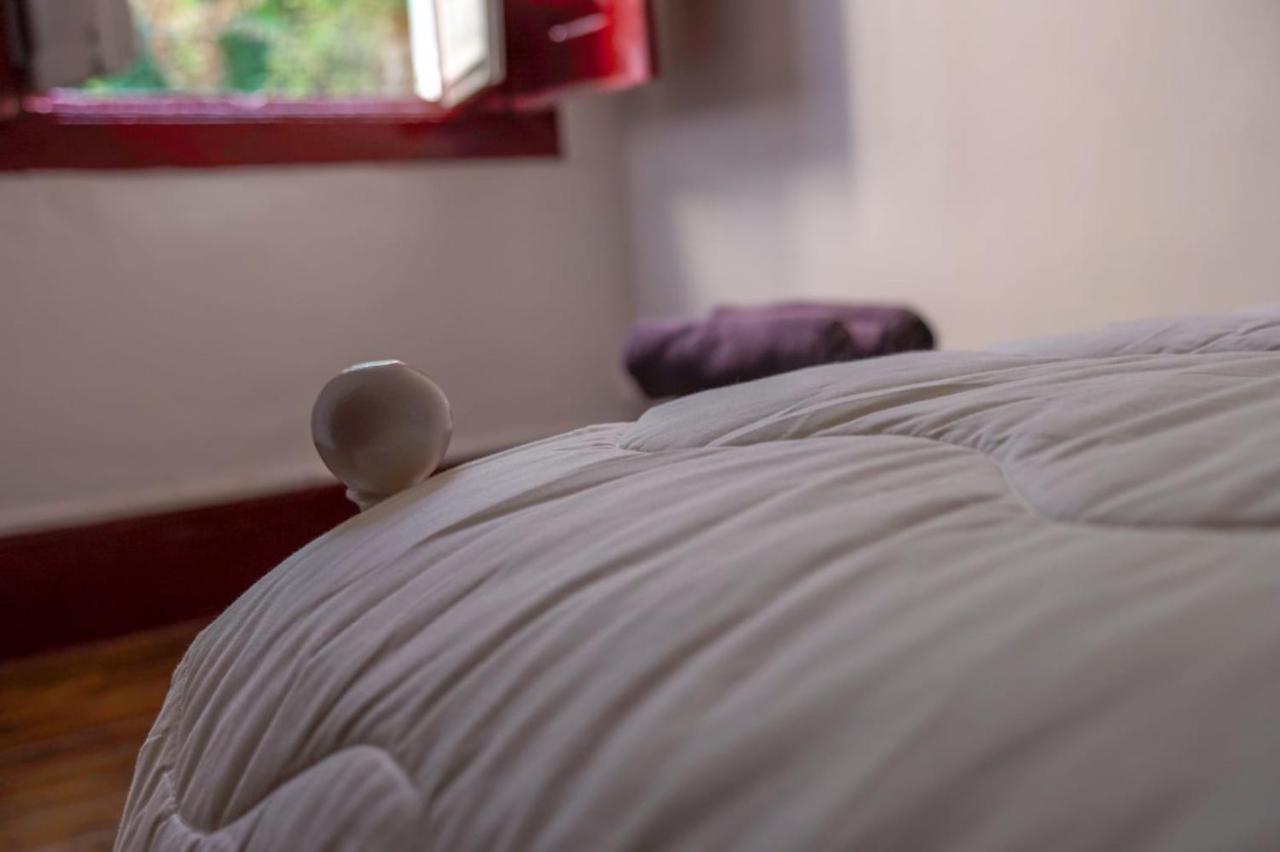 بيت شباب Pb4 House براغا المظهر الخارجي الصورة